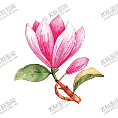 卡通玉兰花 【酷图网】卡通玉兰花,玉兰花图案,卡通,素材,元素,矢量,可爱,玉兰花素材,手绘,插画,清新,印花,图案,简约,玉兰花,花卉,春季,夏季,春天,夏天,花,花朵,玉兰花插画,插图,花素材,插花,logo,包装,卡通花朵,花朵素材,园艺,卡通玉兰,中式,国潮,古风,简笔画,水彩,紫色,粉色,精美,渐变,树枝,花苞