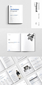 Business Proposal Template #proposal #brochure #template #indesign #brochuretemplate #templates