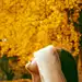 萧瑟 人像 植物 树 户外 黄色 叶子 树干 秋季 7MX年度摄影大奖赛—我的2017 人像 - 7MX.COM