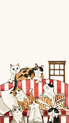 猫