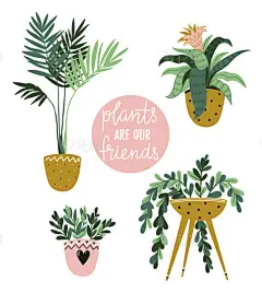 Potted  house plants isolated on the white background. Vector illustration with stylish lettering - Plants are our fiends