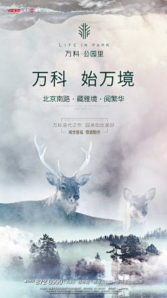 林静静的静采集到万科