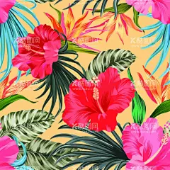 大红花  - 源文件下载【酷图网】红花,芙蓉朵,绿叶,底纹,叶子,手绘,