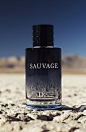 Smelling good is a must for the modern man – ladies love a well-dressed man, but they love a well-dressed man that smells good...
