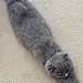 streeeeetch!