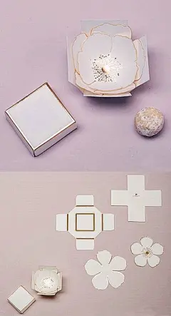 Weddingstar &quot;Surprise Bloom&quot; Favor Boxes (Set of 10)