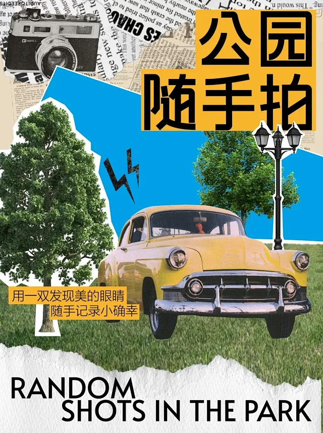 每日灵感分享｜拼贴风海报-花瓣网