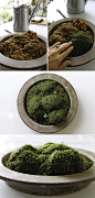 How to Make a Moss Garden by littlegreendot #Garden #Moss: 