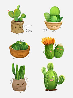闹木闹木闹木哒哒采集到植物插画参考