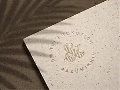 唯美阴影名片LOGO图标徽章提案文创智能贴图VI样机模板PSD素材 (100)