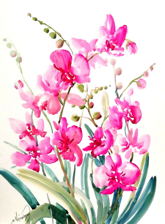 Pink Orchids origina...