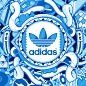 adidas originals store on Behance