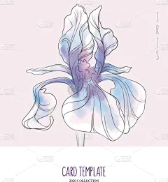 创造力,水彩画,动物手,鸢尾,请柬,清新,传单,花,绘制,问候