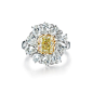 블루밍스프링(옐로우다이아몬드) 반지 : 꽃망울이 피어나는 화창한 봄날의 이미지를 표현한 디자인으로 옐로우 다이아몬드와 페어컷 다이아몬드의 조화가 화사함을 더함 (가격문의)