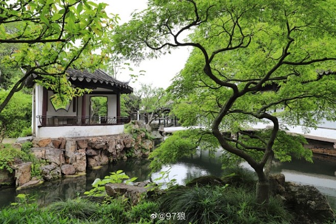拙政园与谁同坐轩

苏州超话#苏州园林...