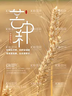 芒种简约大气海报  - 源文件下载【酷图网】芒种,节气,农耕,田野,耕种,播种,农忙,24节气,芒种海报,芒种节气,芒种手机海报,芒种手机单屏,芒种微信海报,芒种微信单屏,地产芒种,芒种朋友圈,芒种素材,芒种闪屏,芒种微博,芒种习俗,芒种宣传,芒种转发图,芒种单张,地产节气,节气海报,二十四节气,