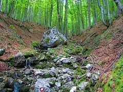 高山流水