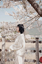 Gyeonlee 旅拍作品分享：樱花如约而盛放 期待下一次与你相遇 | 数字尾巴 分享美好数字生活