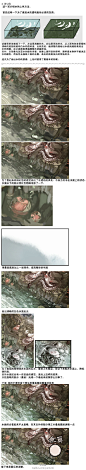#说好的每周一翻#sai教程，偏厚涂，过程详细，网页截图改图，一共五张，讲了如何调整整体的色调，细部的描绘，反射光的画法水的画法，有很多值得学习的地方，看下面评论貌似作者是个高一的学生，太可怕（ [bm孤独]原地址http://t.cn/zQoZrd1 @jeanne_资料整理库