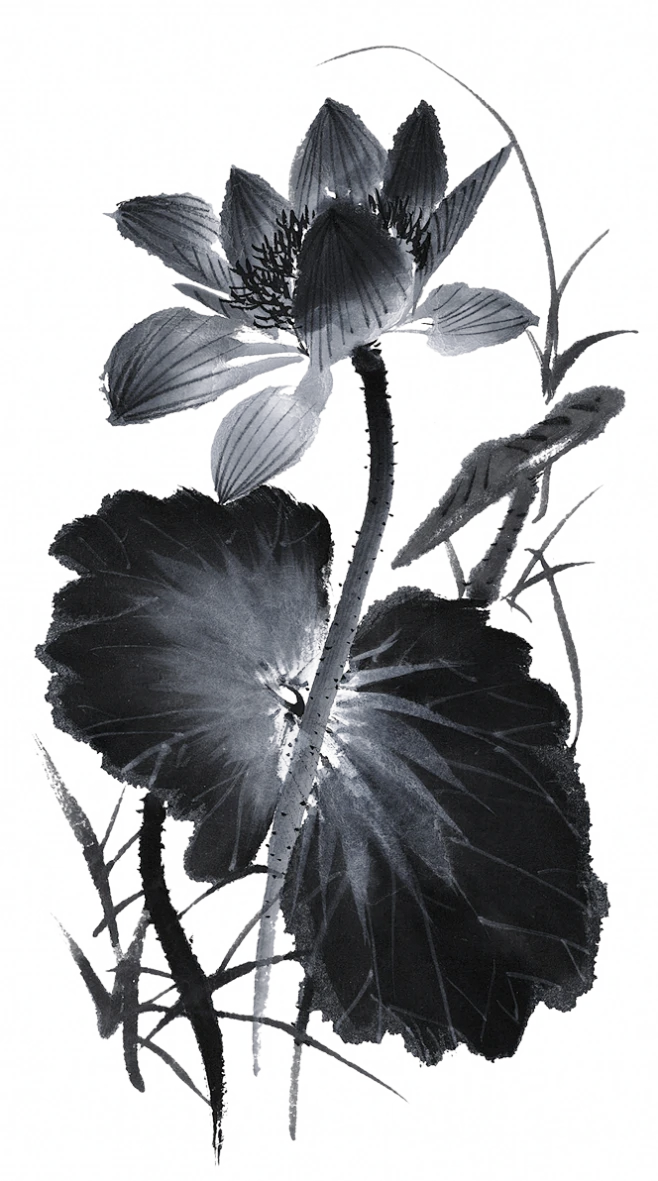 荷花手绘古风水墨彩墨真实绿色荷花设计元素png免抠装饰素材图片