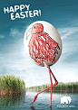 【图】科隆动物园的创意海报广告 - Ux创意杂志_kevin741963的收集_我喜欢网