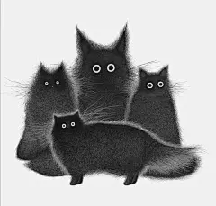 (454) Pinterest