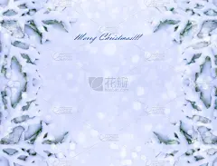 雪,寒冷,新年前夕,一月,霜,壁纸,云杉,杉树,松树,背景