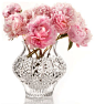 Waterford Fleurology - Liz 7 Cachepot - traditional - Vases - Fine Brand Sales@北坤人素材