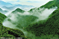 安吉竹林竹海摄影图__山水风景