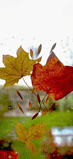 手机壁纸 背景图