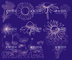 雏菊  - 源文件下载【酷图网】卡通雏菊素材,雏菊,雏菊海报素材,可爱,水彩,雏菊素材,图片,包装,卡通雏菊,插画,插图,素材,元素,矢量,卡通,手绘雏菊,手绘,雏菊标志,logo,简约,图案,图标,雏菊插画,儿童绘本,矢量雏菊,促销,时尚,清新,小雏菊,白花,小白花,小清新,花朵,春天素材,春天,白色,菊花,太阳花,线稿,花草