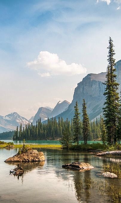 (465) Pinterest