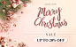 旗舰店banner