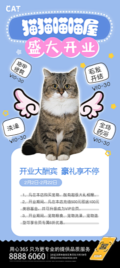 做我的猫呗采集到猫粮管家