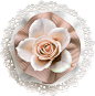 欧式复古古典唯美花卉纹理蕾丝免抠PNG图案 手账设计PS素材 (104)