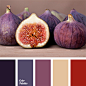 Red Color Palettes | Page 88 of 91 | Color Palette Ideas : Great collection of Red Color Palettes with different shades. Color ideas for home, bedroom, kitchen, wall, living room, bathroom, wedding decoration. | Page 88 of 91