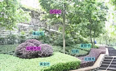 明天你好521采集到彩平图