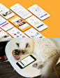 Pet Lover - Pet Social Network & Health Tracking UI Kit on Behance