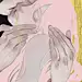 404軟體沙虫