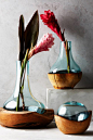 Teak & Bottle Vase