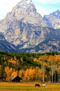Fall at Grand Teton National Park, Wyoming
