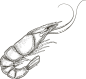 复古手绘素描风格海鲜八爪鱼螃蟹免抠PNG图案 AI矢量印刷PS素材 (30)