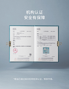 西西的肩膀采集到奖项&证书