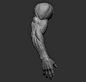 Male arm poses