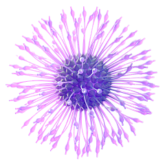 橙澄程采集到生物 医疗 细胞 化学