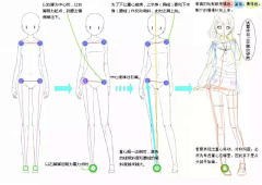 雅贤YY采集到【绘画-人体结构】肌肉