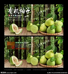 柚子 柚子海报 柚子展架 甜柚 沙田柚 柚子广告 红心柚子 新鲜柚子 柚子种植 柚子包装 柚子基地 柚子展板 柚子批发 水果 水果海报 水果展架 水果店海报 水果店展架 水果超市 水果柚子 水果创意 水果广告 水果挂画 水果店 创意水果 水果店展板 水果画册 有机水果 水果背景 水果批发 新鲜水果