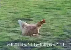 这些能撩又能闹的超皮套路表情包，拯救了无数社恐患者！