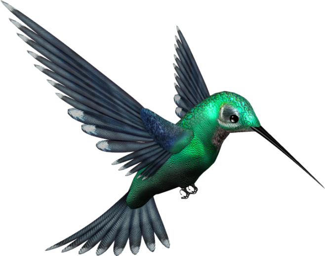 Green Humming Bird P...