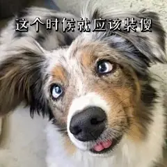 装傻表情包图片-装傻表情包设计素材-装傻表情包模板下载_花瓣网
